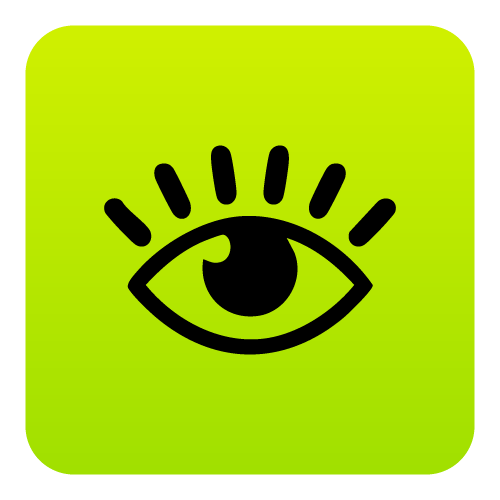 icon vision
